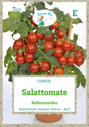 Salattomate Balkonzauber