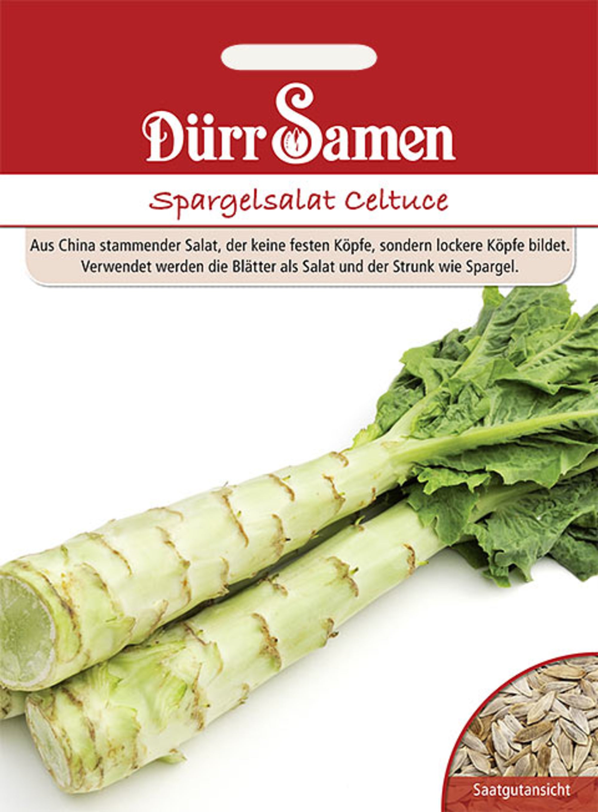 Spargelsalat Celtuce