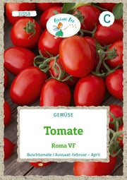 Tomate Roma VF