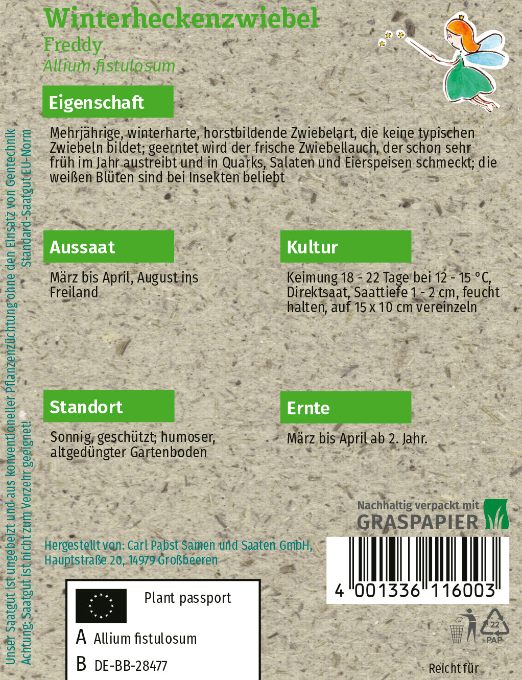 Winterheckenzwiebel Freddy