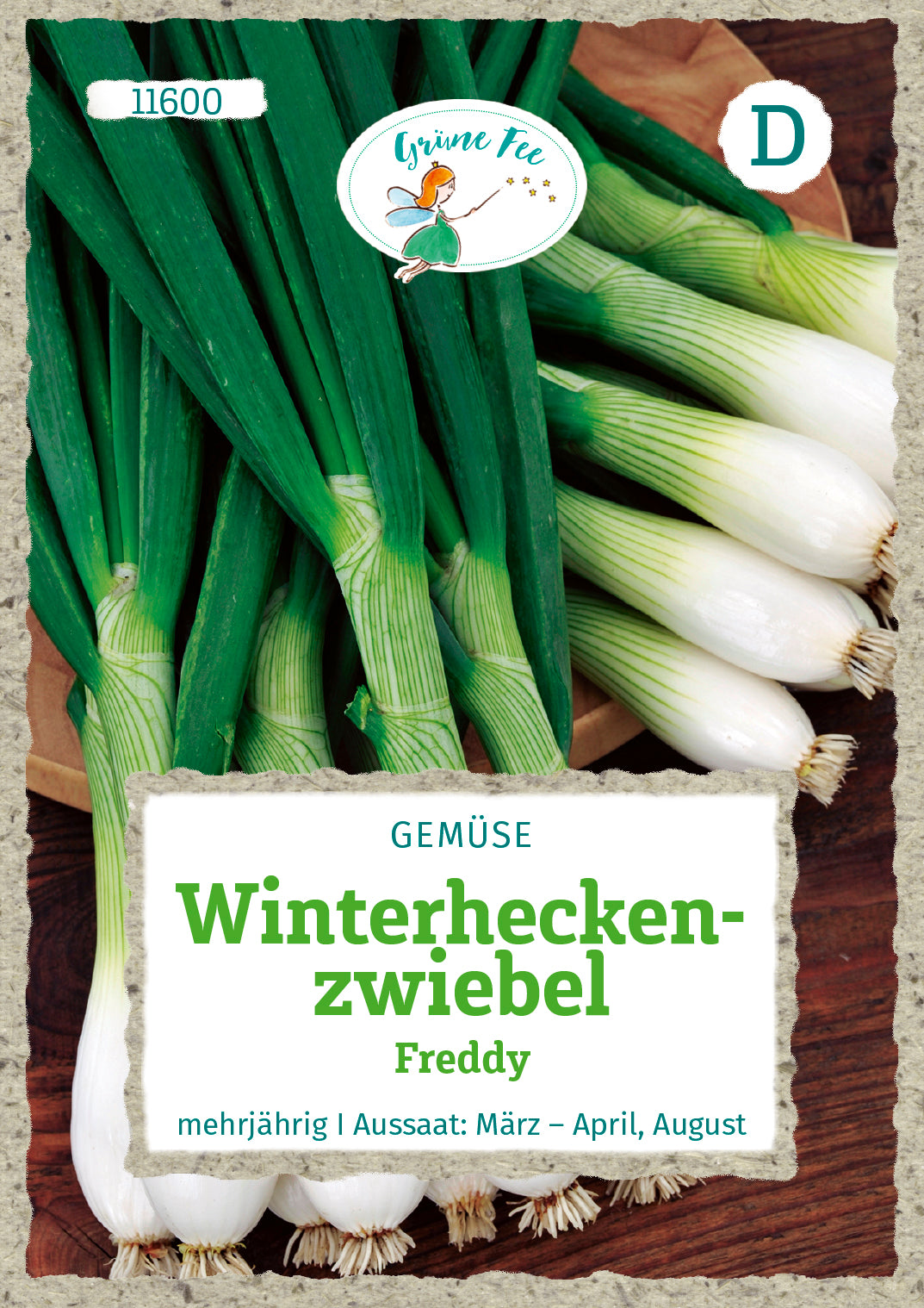 Winterheckenzwiebel Freddy