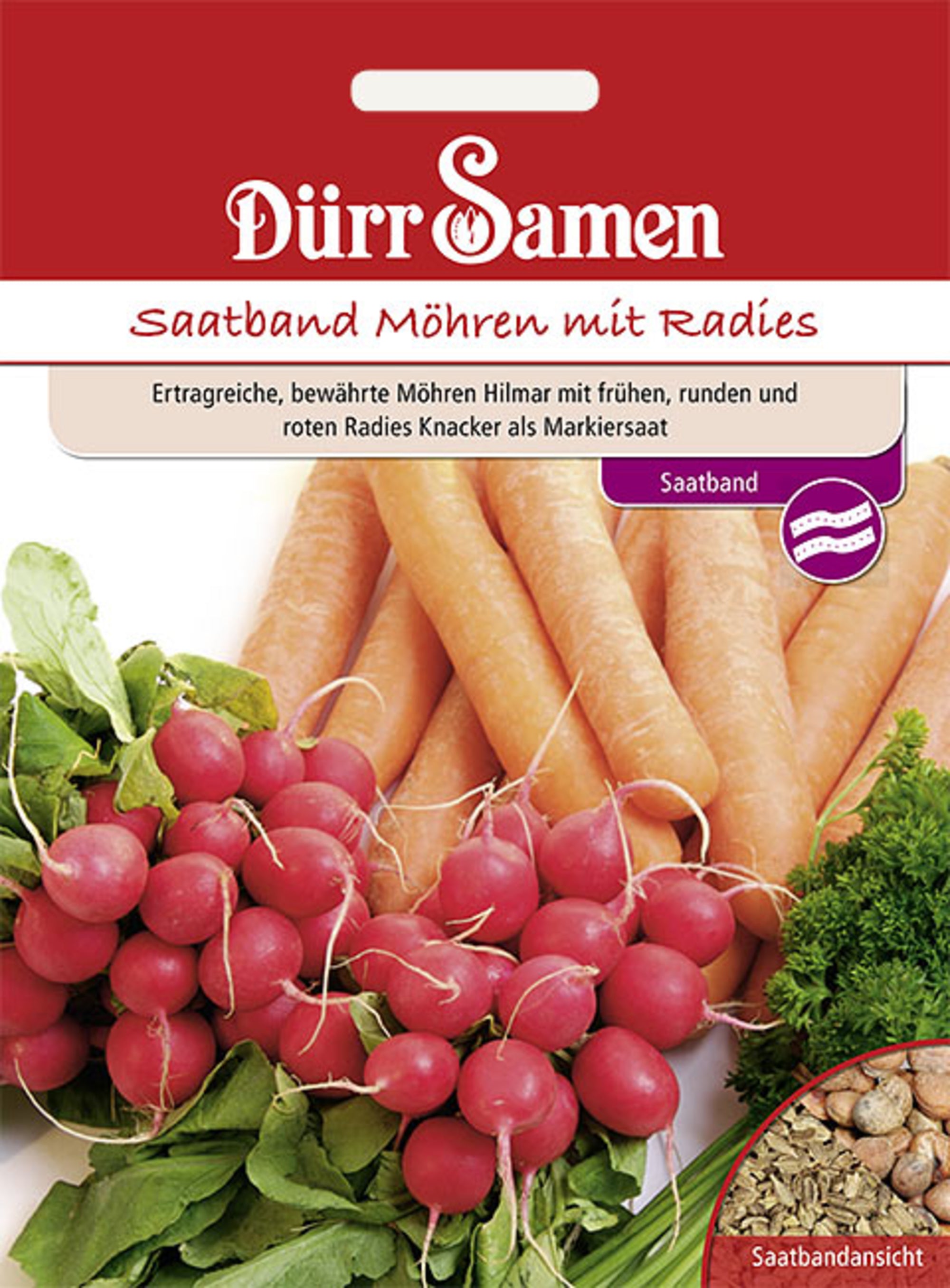 Saatband Möhren mit Radies