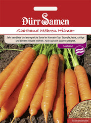 Saatband Möhren Hilmar