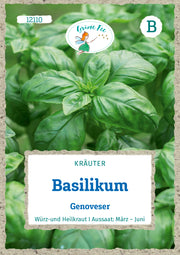 Basilikum Genoveser