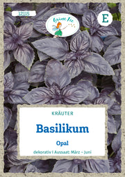 Basilikum Opal
