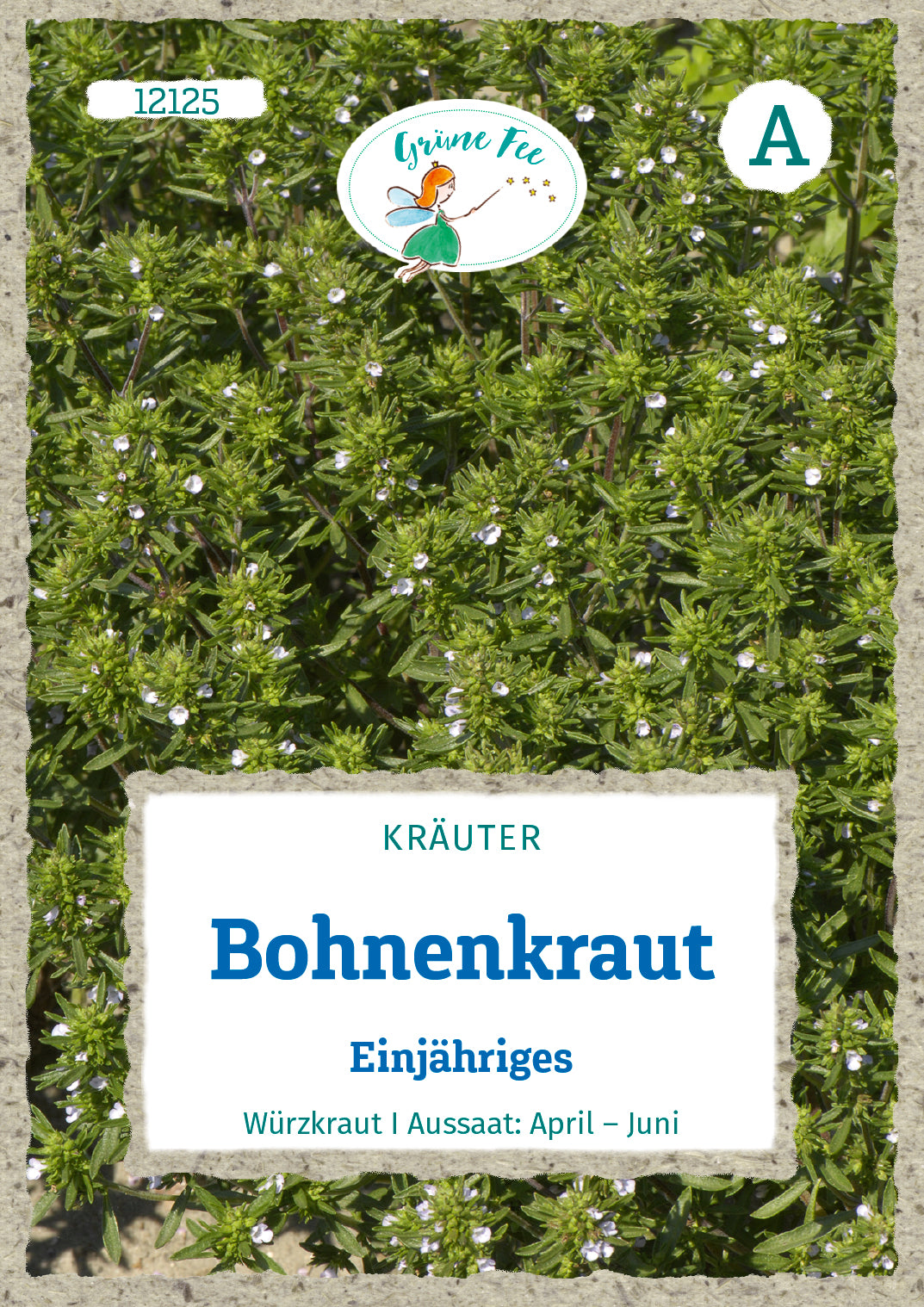 Bohnenkraut Einjähriges