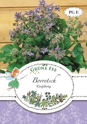 Borretsch Einjährig