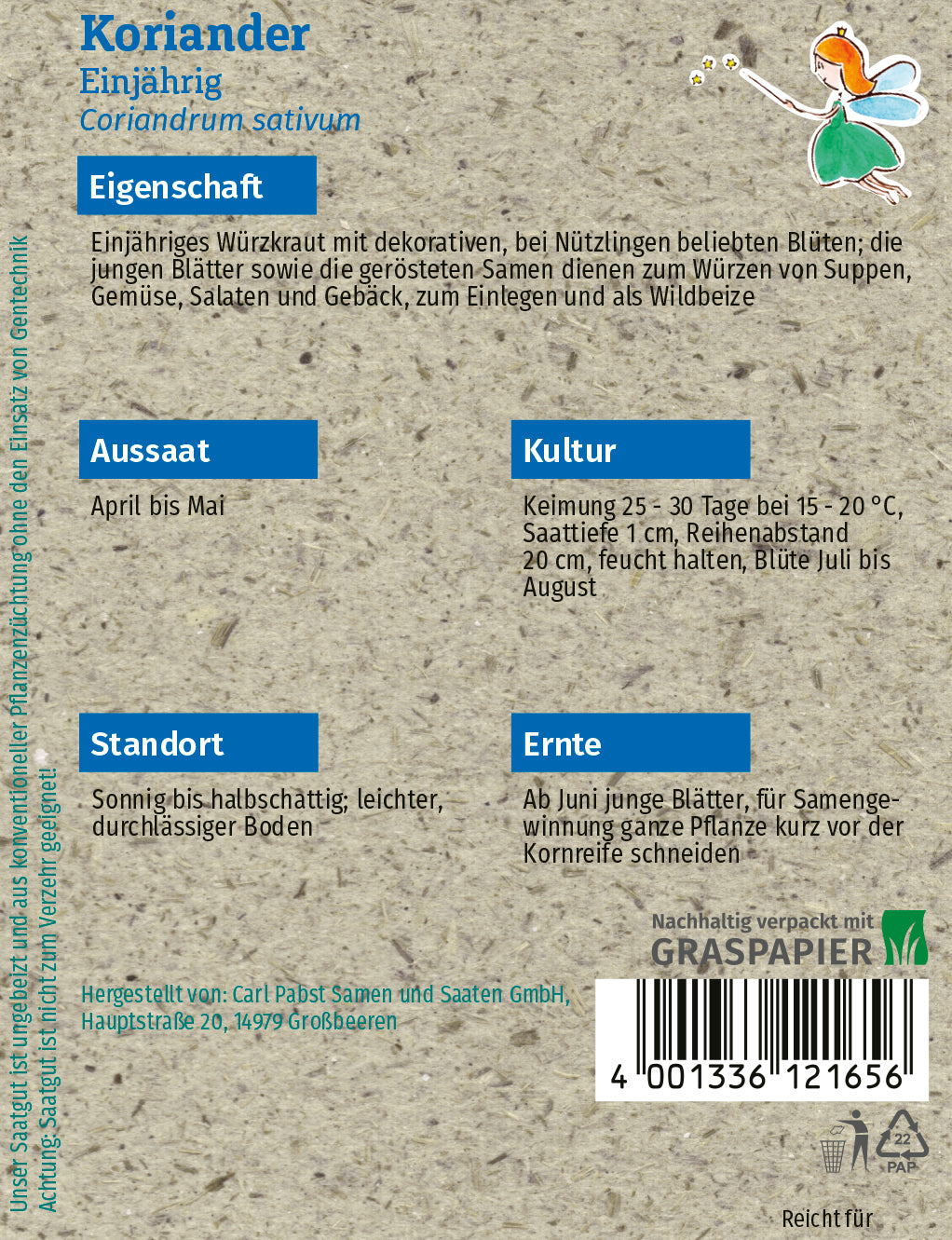 Koriander Einjährig