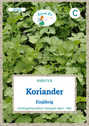 Koriander Einjährig