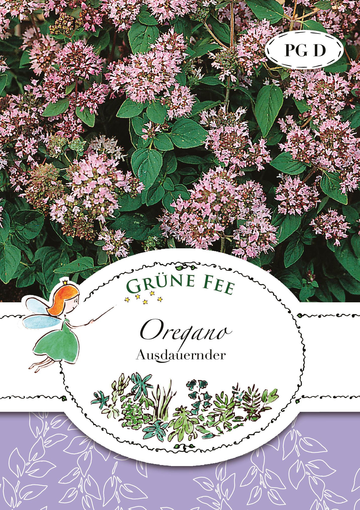 Oregano Ausdauernder
