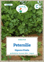 Petersilie Gigante d`Italia