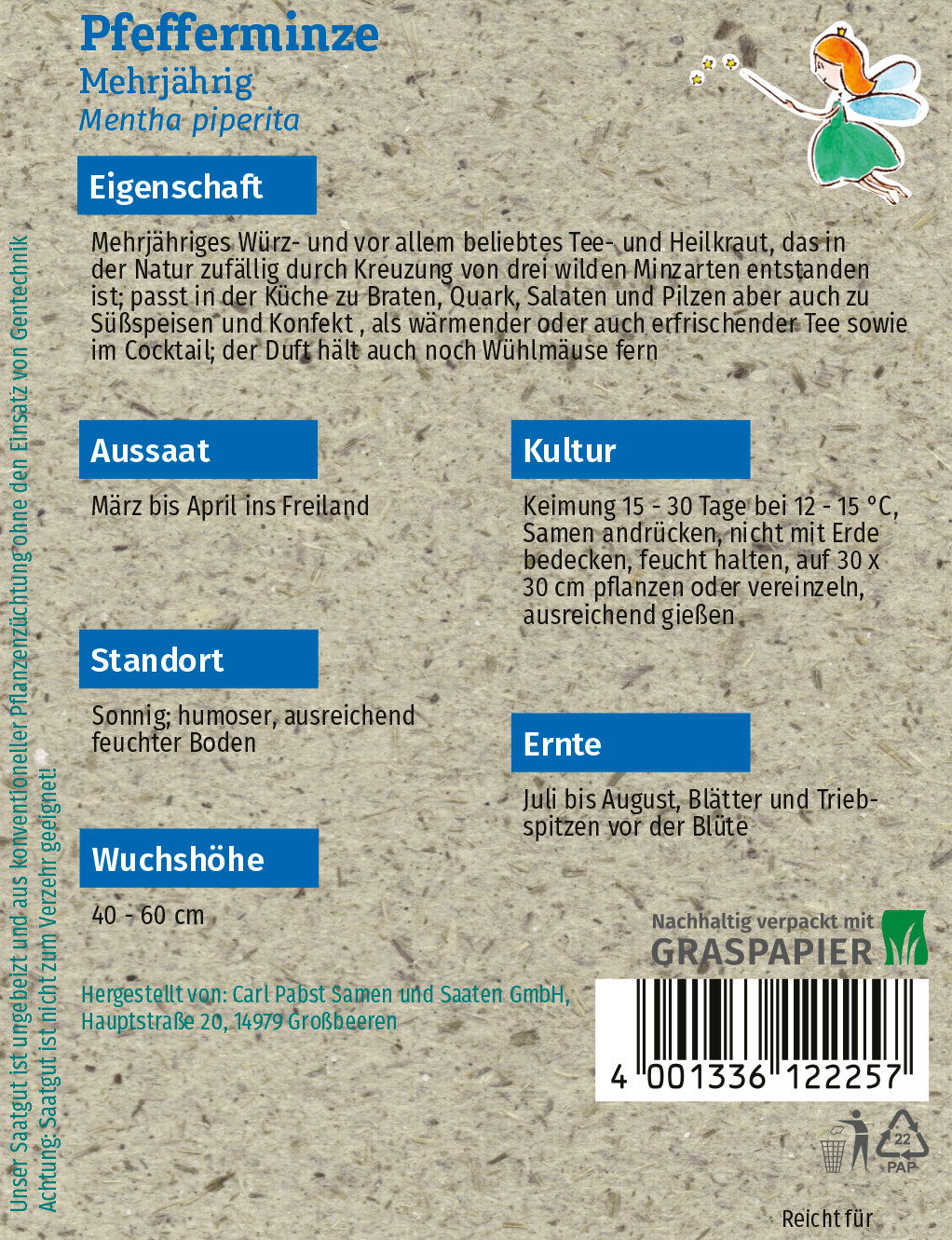 Pfefferminze Mehrjährig