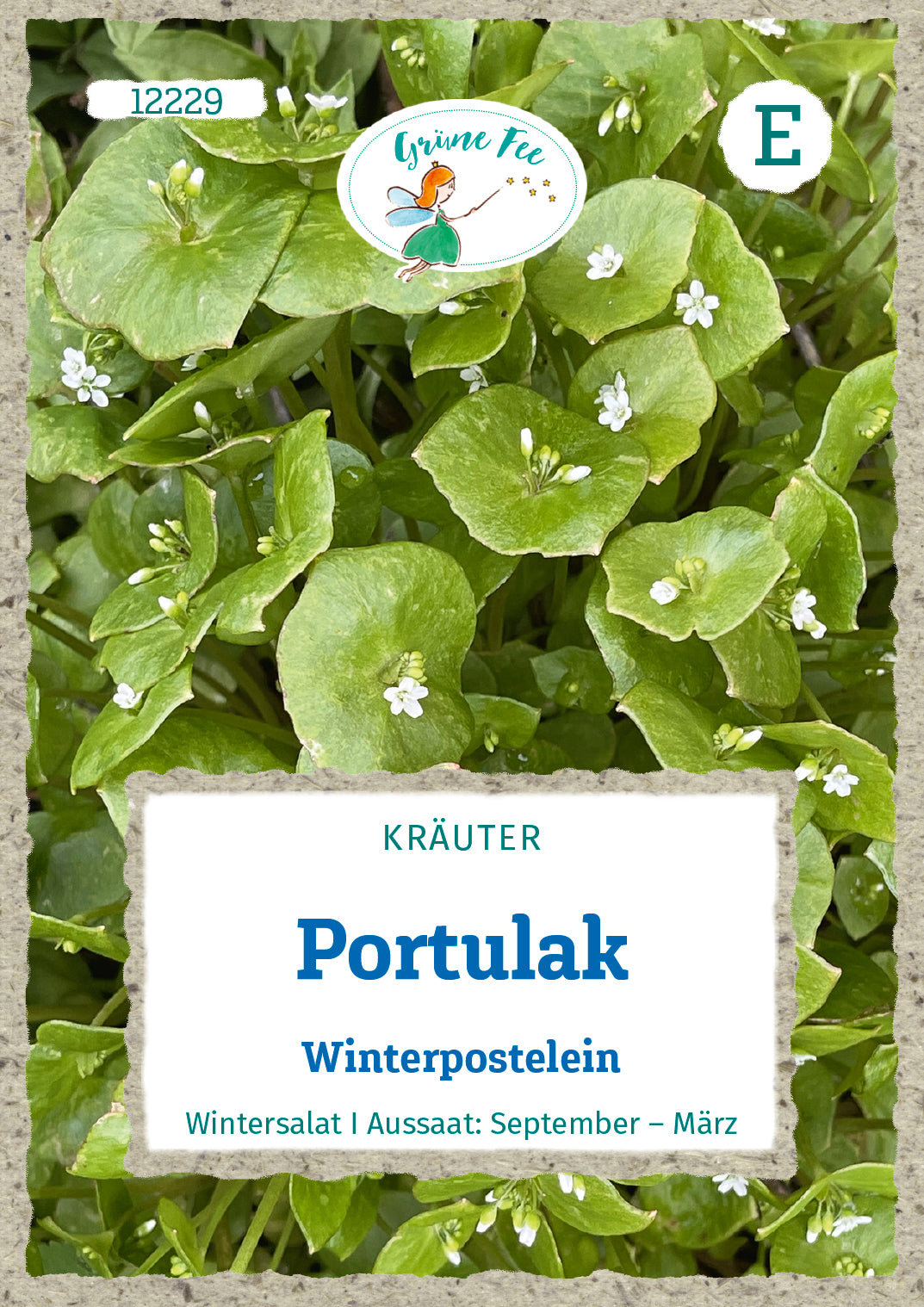 Portulak Winterpostelein