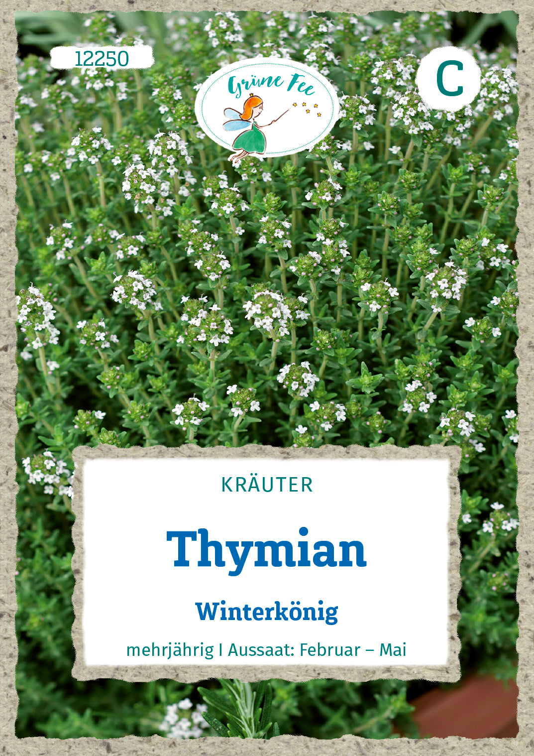 Thymian Winterkönig