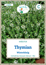 Thymian Winterkönig