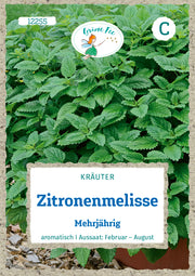 Zitronenmelisse Mehrjährig