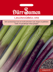 Lauchzwiebeln Apache
