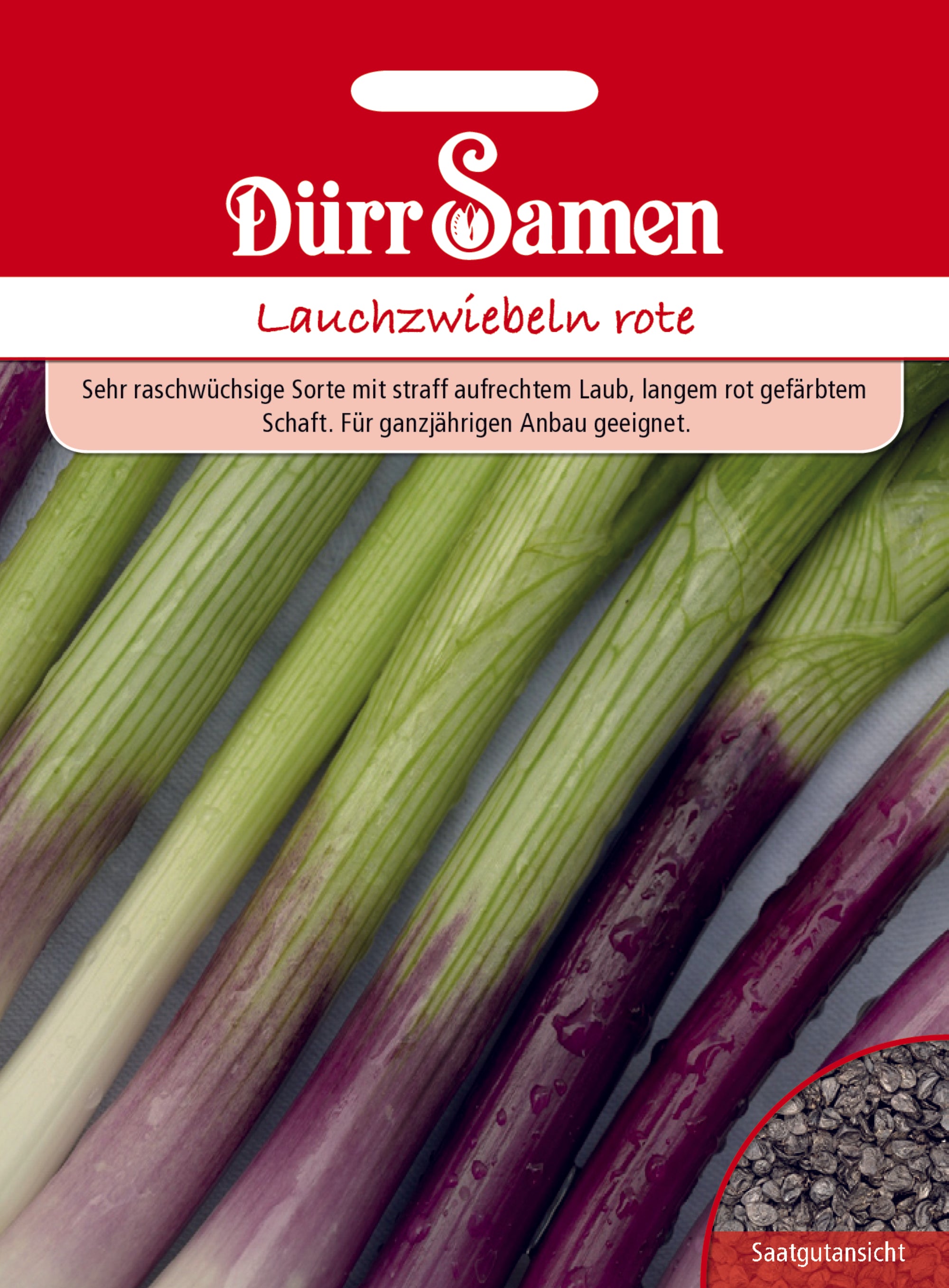 Lauchzwiebeln Apache