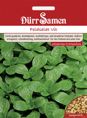 Feldsalat Vit (Vorteilspackung)