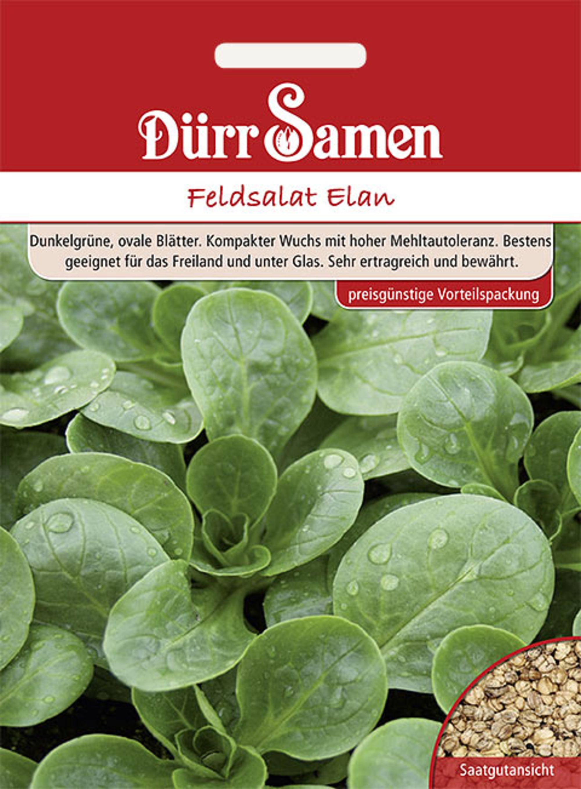 Feldsalat Elan (Vorteilspackung)