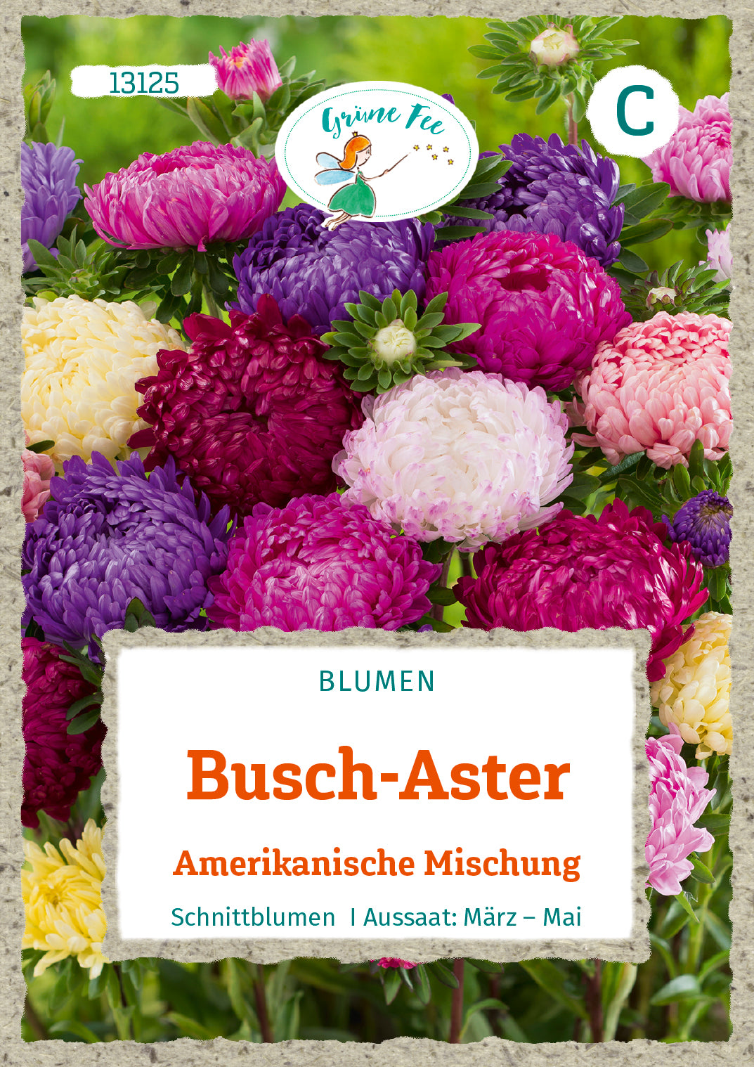 Busch-Aster Amerikanische Mischung