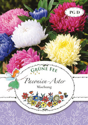 Paeonien-Aster Mischung
