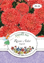 Rosen-Aster Jugend