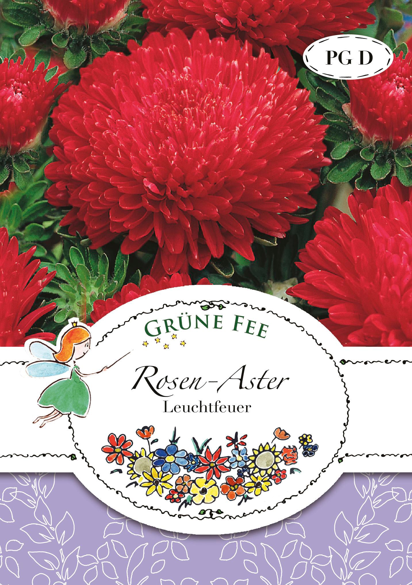 Rosen-Aster Leuchtfeuer