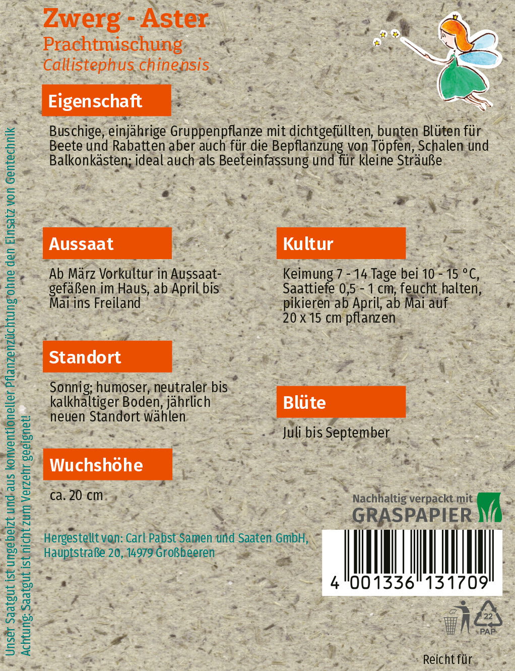 Zwerg-Aster Prachtmischung