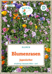 Blumenrasen Japanischer