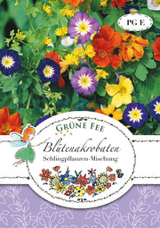 Blütenakrobaten Schlingpflanzen-Mischung