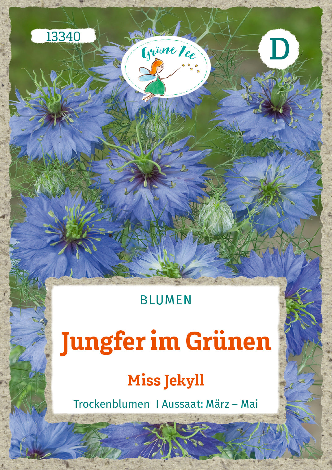 Jungfer im Grünen Miss Jekyll
