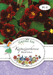 Kapuzinerkresse Black Velvet