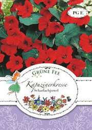 Kapuzinerkresse Scharlachjuwel