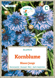 Kornblume Blauer Junge