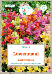 Löwenmaul Zauberteppich