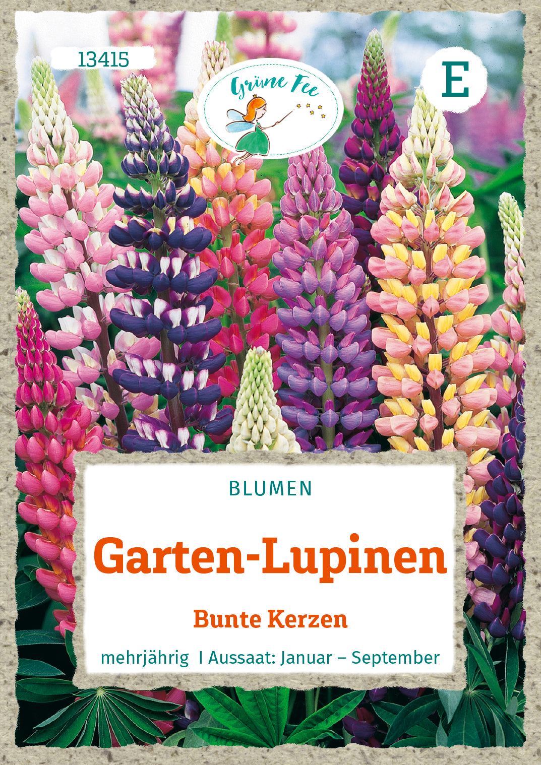 Garten-Lupinen Bunte Kerzen