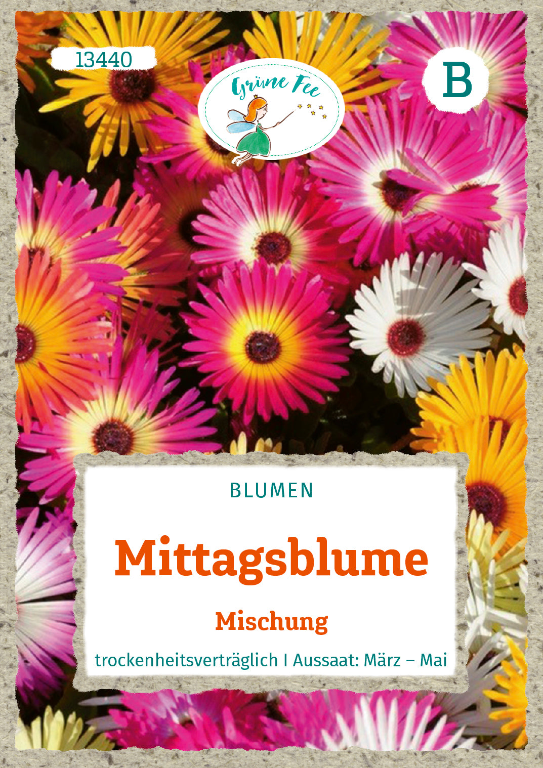Mittagsblume Mischung