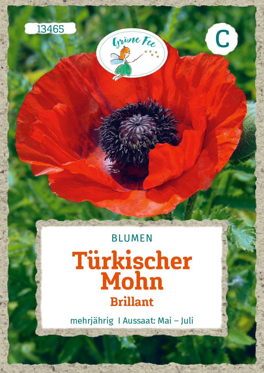 Türkischer Mohn Brillant