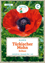 Türkischer Mohn Brillant