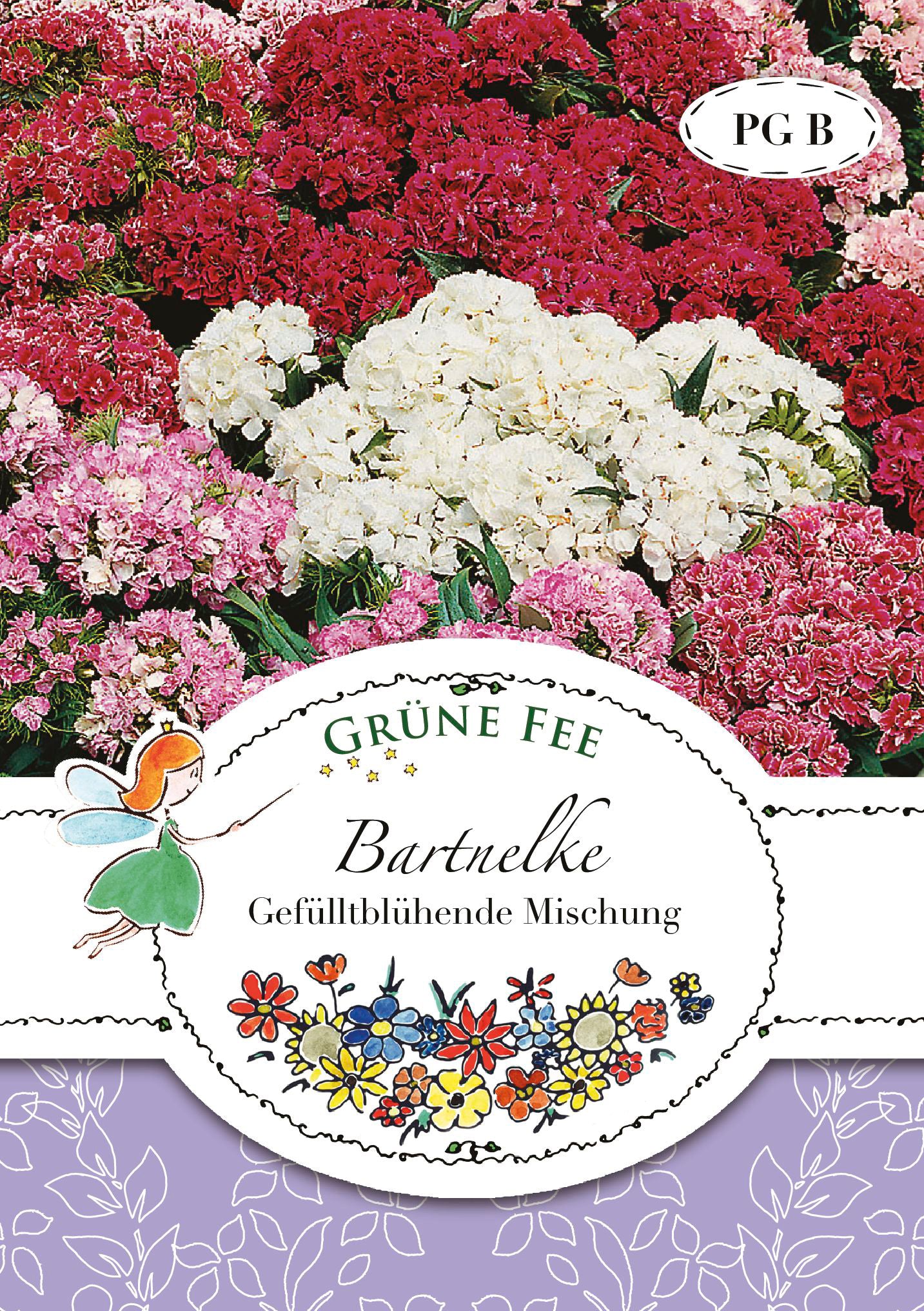 Bartnelke Gefülltblühende Mischung