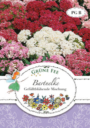 Bartnelke Gefülltblühende Mischung