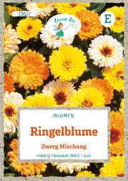 Ringelblume Zwerg Mischung