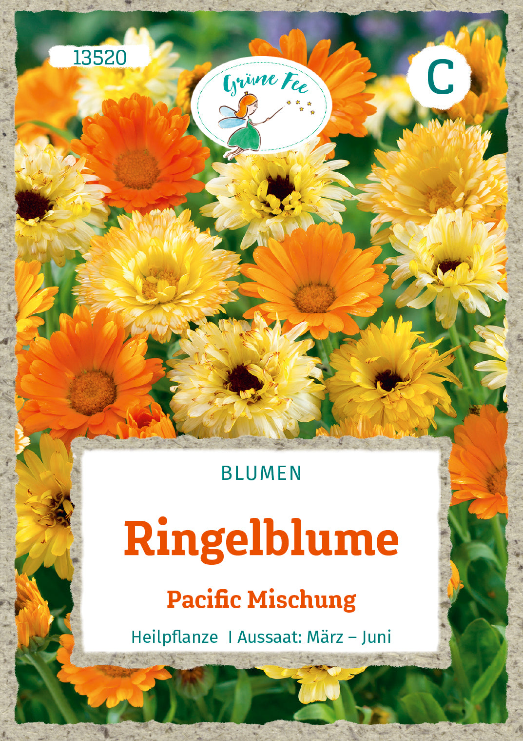 Ringelblume Pacific Mischung