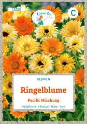 Ringelblume Pacific Mischung