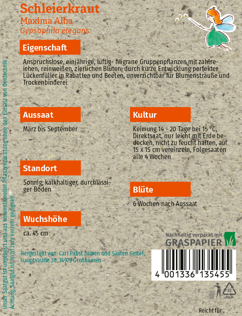 Schleierkraut Maxima Alba