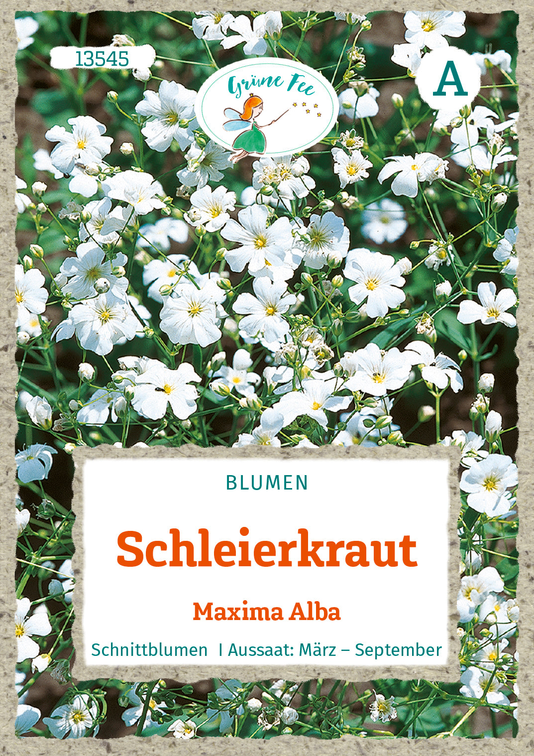 Schleierkraut Maxima Alba