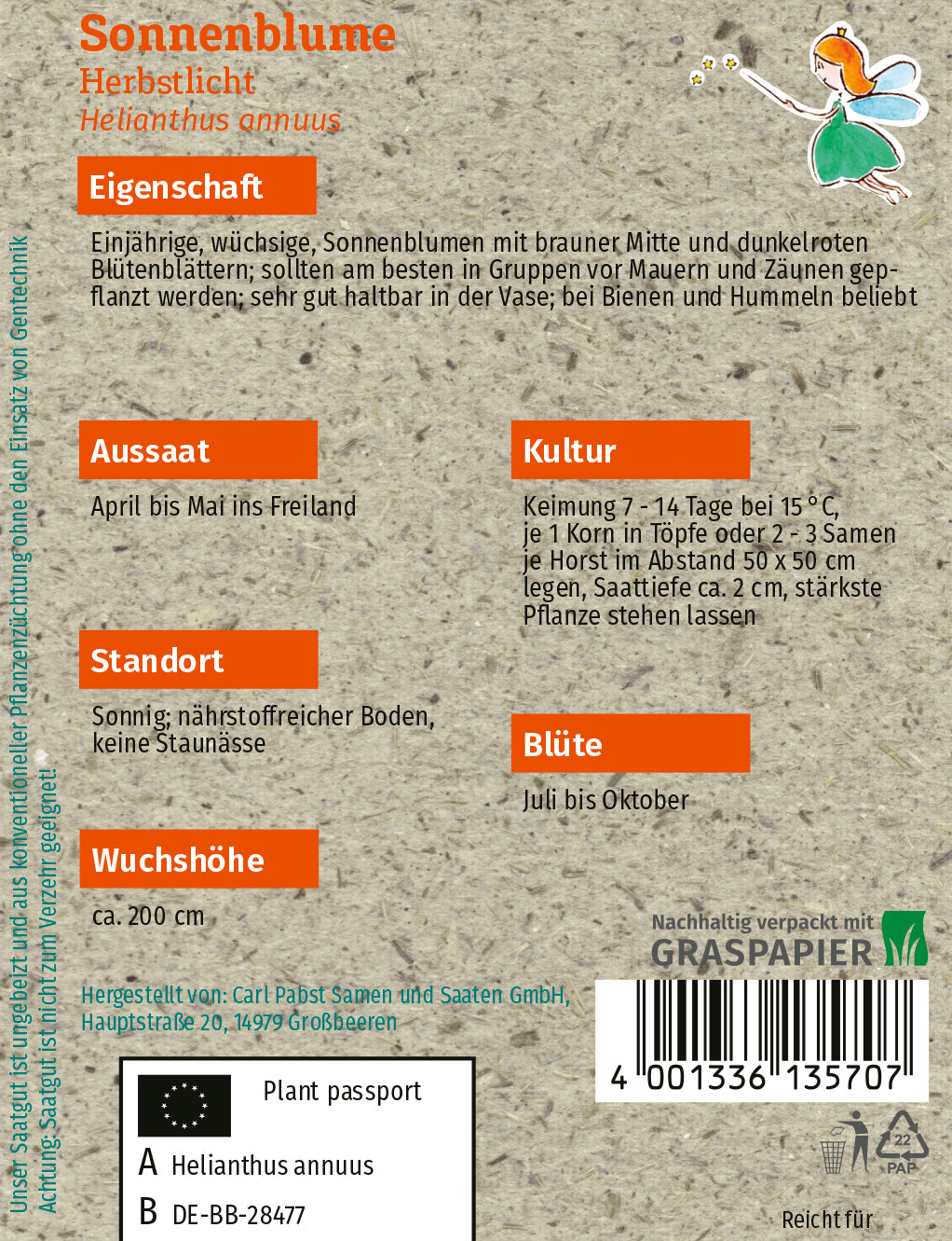 Sonnenblume Herbstlicht