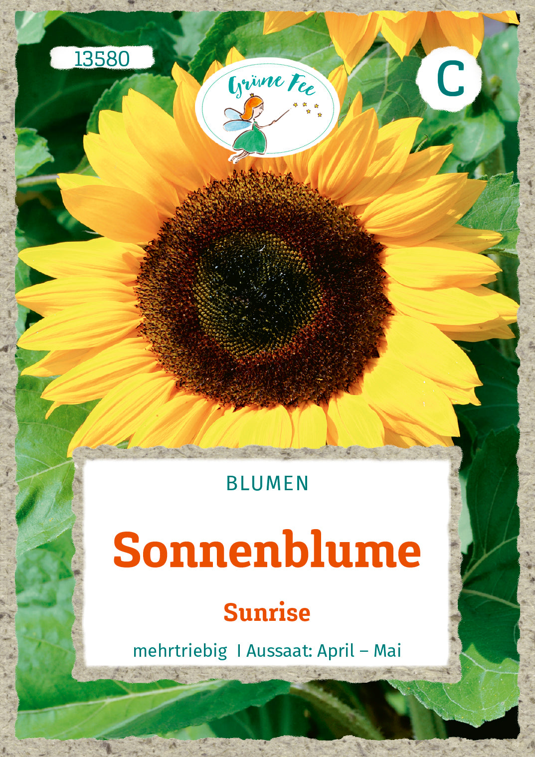 Sonnenblume Sunrise