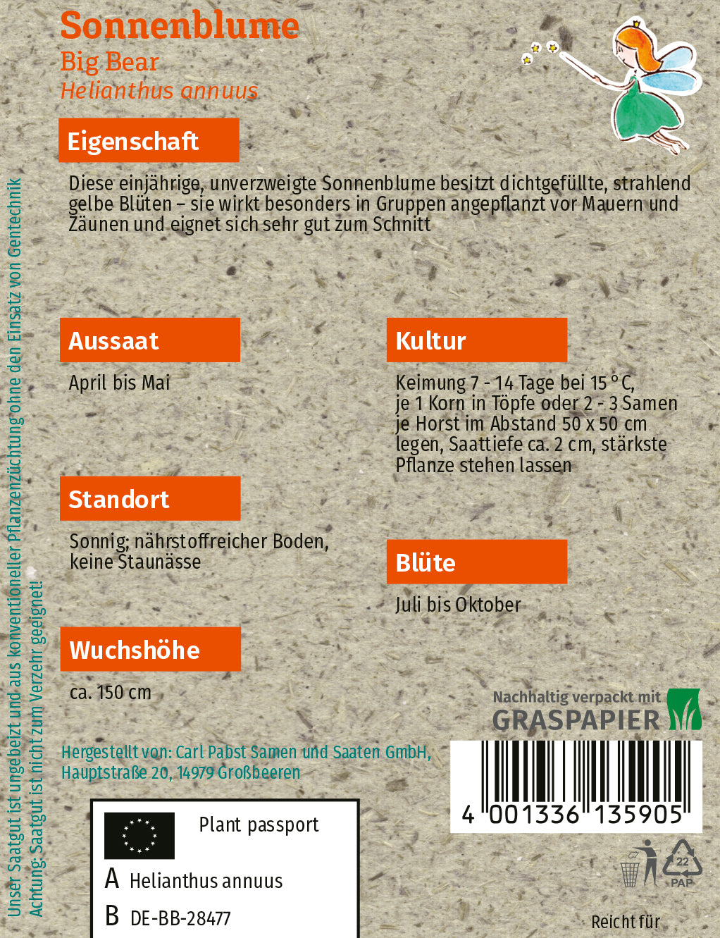 Sonnenblume Big Bear